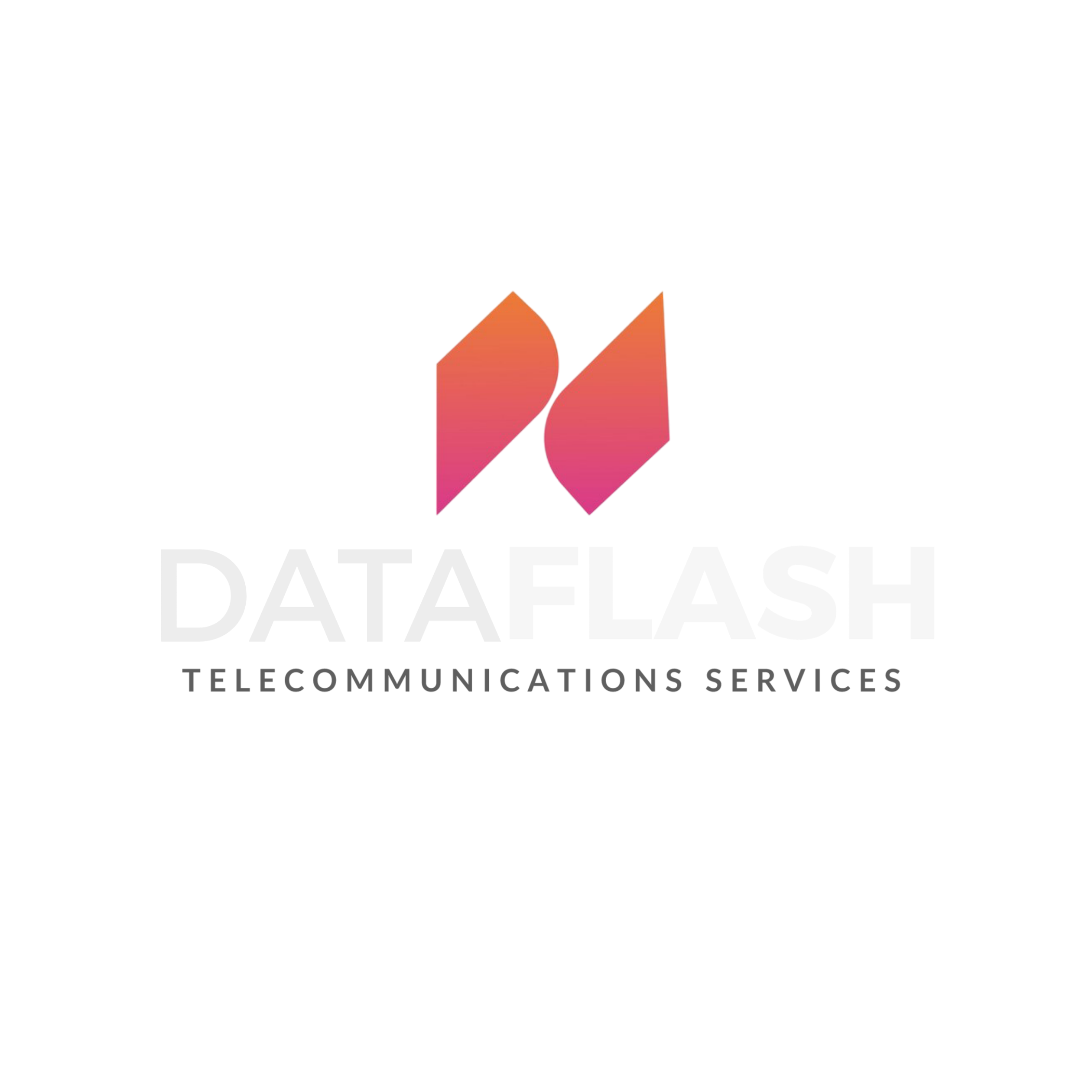 Dataflash Logo